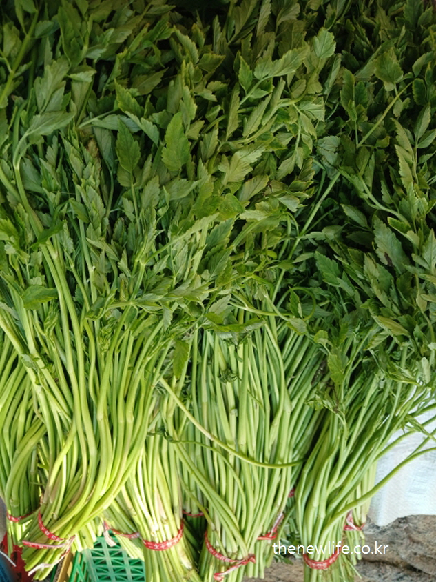 Close-up of fresh Korean minari with leafy tops, piled for sale at a local market.”-“시장에 쌓여 있는 싱싱한 미나리 잎과 줄기 — 구입 즉시 활용 가능한 봄철 대표 나물”
