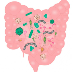 유산균 추천&amp;#44;프로바이오틱스