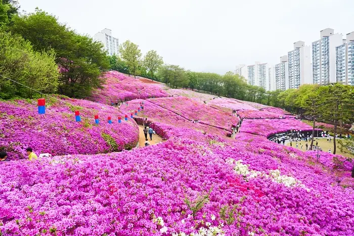 군포 초막골생태공원
