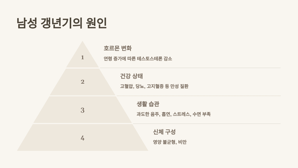 남성 갱년기의 원인
