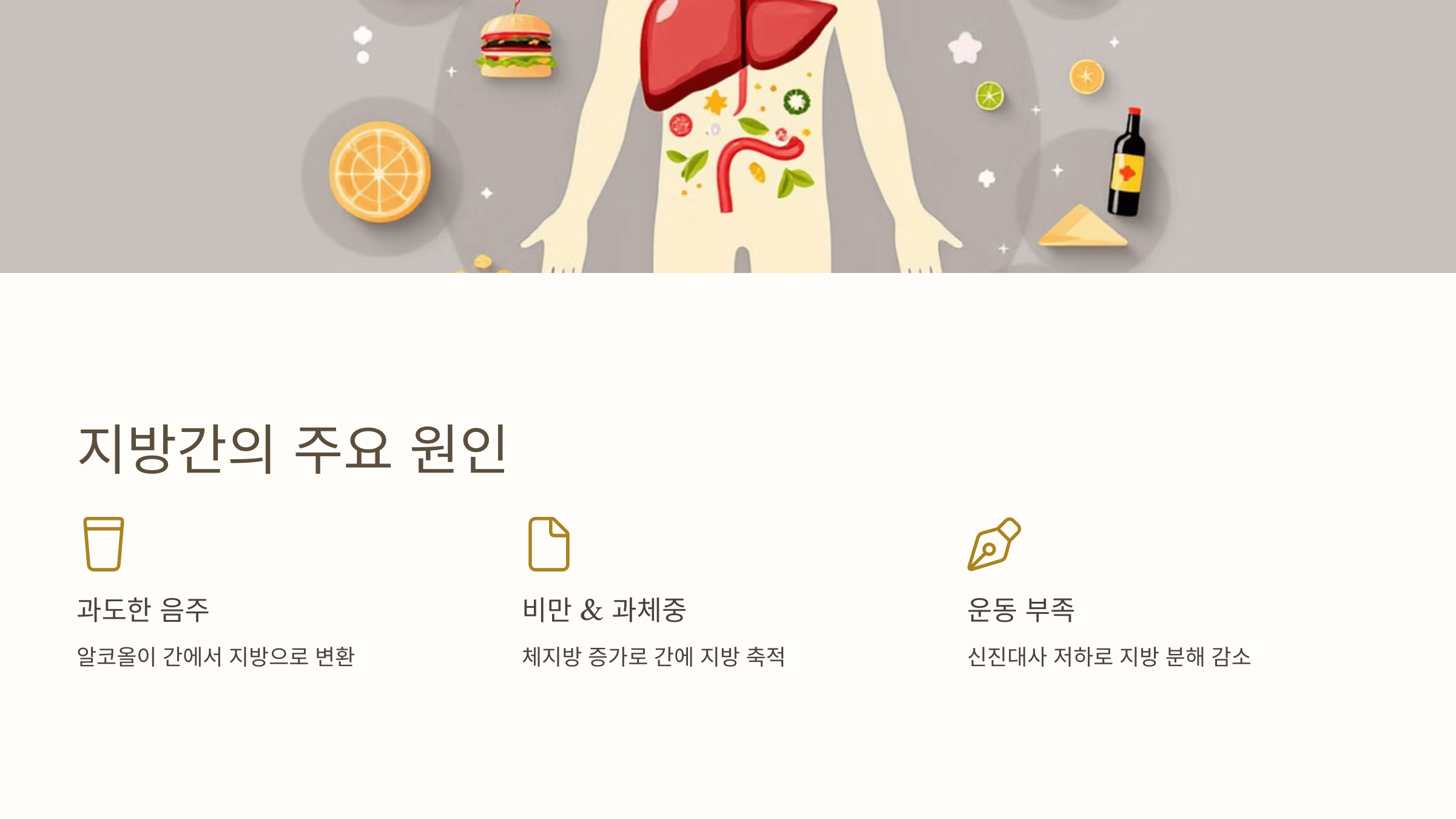 지방간과 관련된 사진입니다.