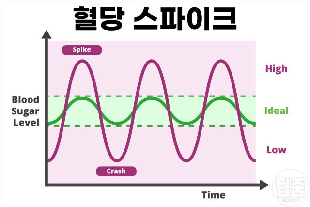 밀가루 끊기 효과 밀가루끊기 한달 혈당 스파이크