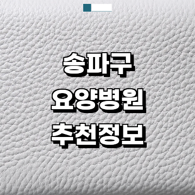 서울 송파구 요양병원