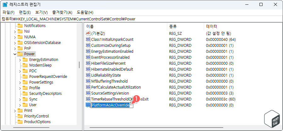 PlatformAoAcOverride REG_DWORD 값 생성