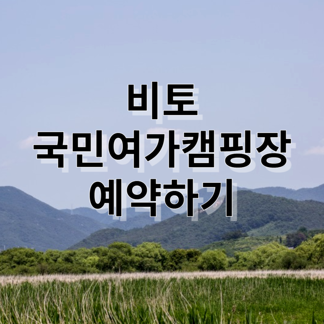 비토 국민여가캠핑장