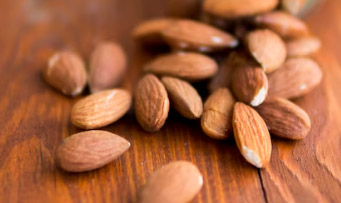 단백질 보충에 좋은 음식 