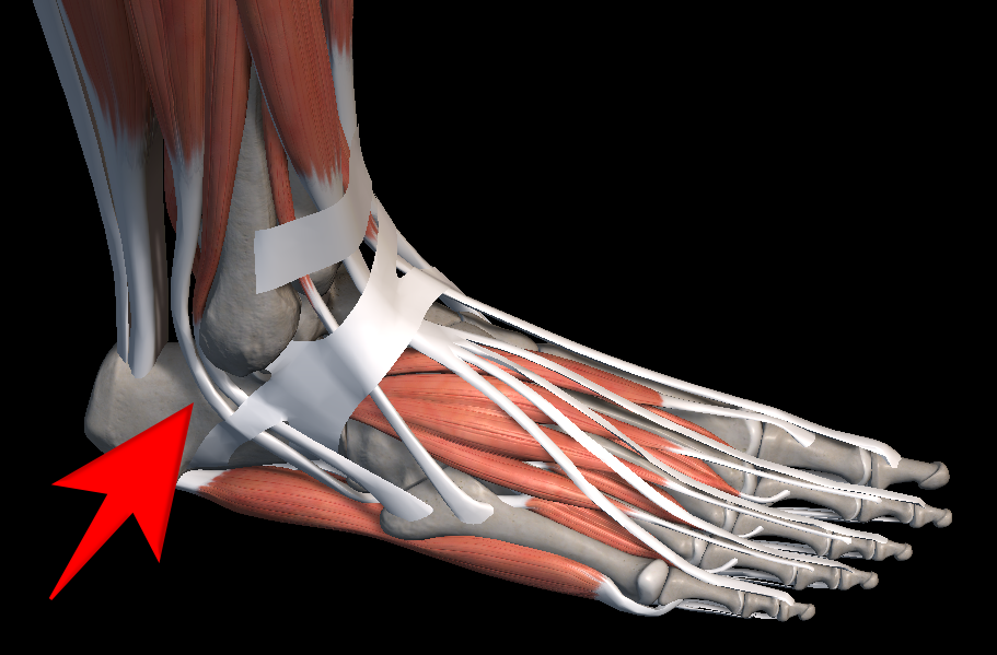 복숭아뼈 아래 통증 붓기
