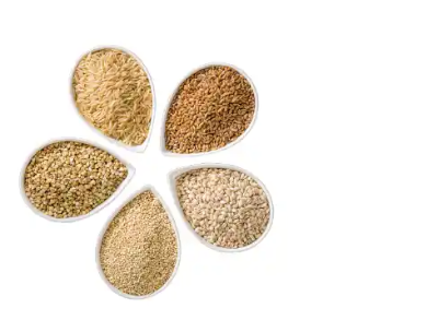 위암에 좋은 음식 10가지