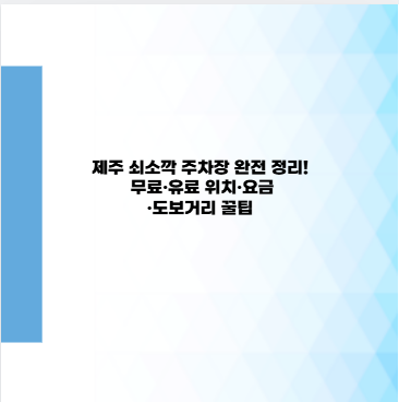 제주 쇠소깍 주차장 완전 정리! 무료&middot;유료 위치&middot;요금&middot;도보거리 꿀팁