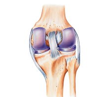 무릎 통증, 50대 이상 64%가 겪는 이유는?