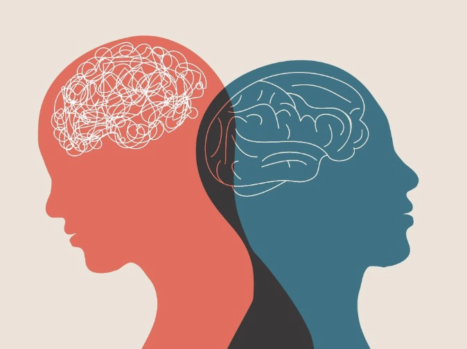 경계성 지능장애 특징 4가지