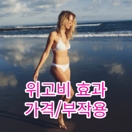 위고비