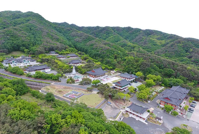 도림사템플스테이