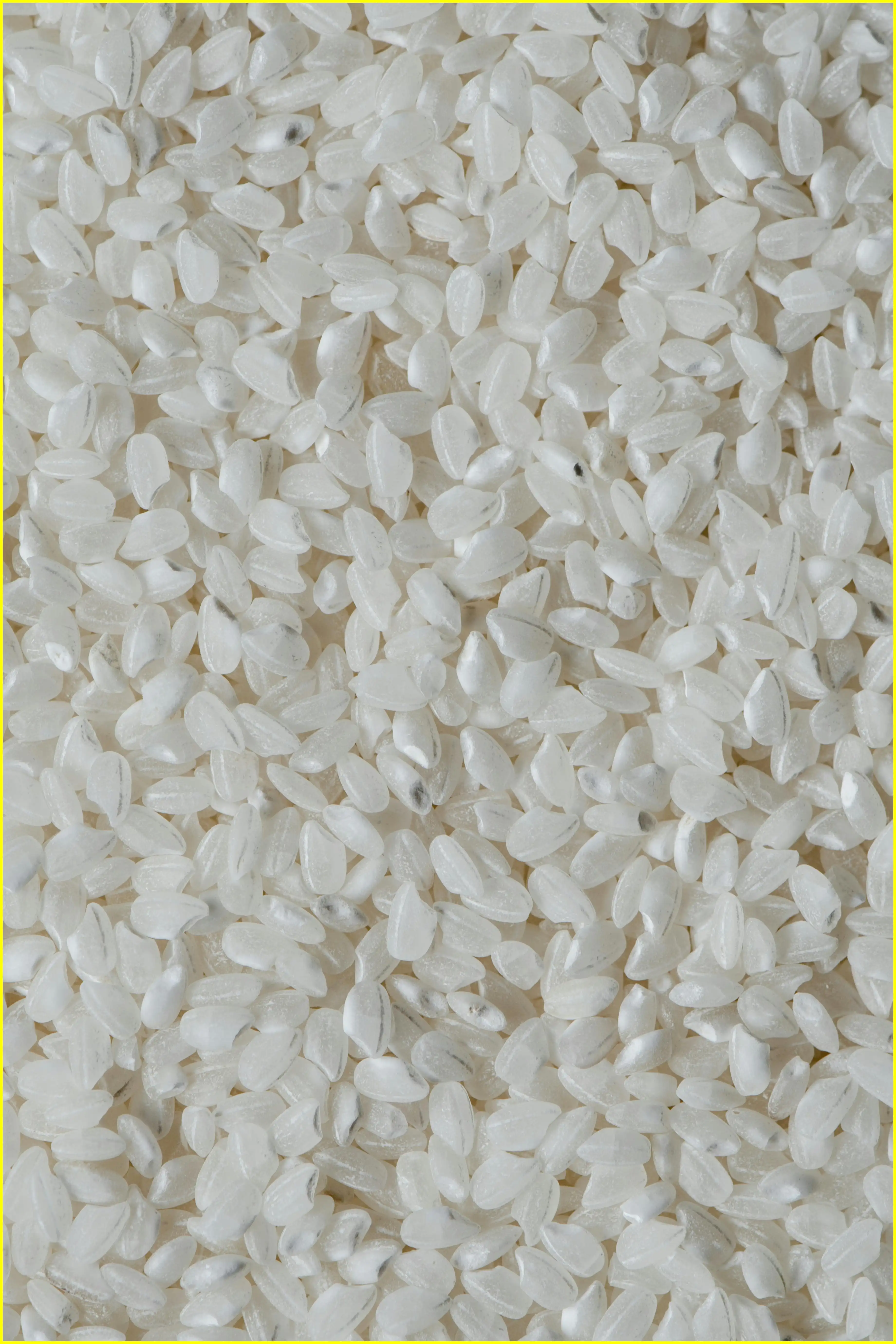 우리쌀 우리술 k-라이스페스타 일정 및 사전등록 무료관람 꿀팁