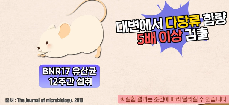 bnr17유산균 효능