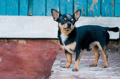 허리 디스크의 증상, 알아보는 요령.