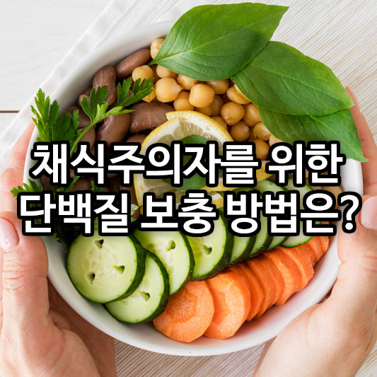 채식주의자를 위한 단백질 보충 방법은?