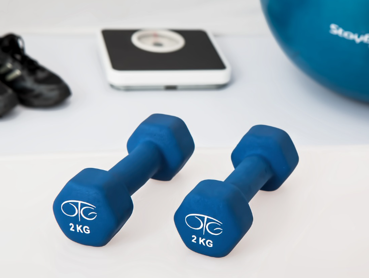 저항 운동의 종류