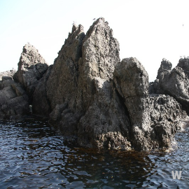울릉도 사진7