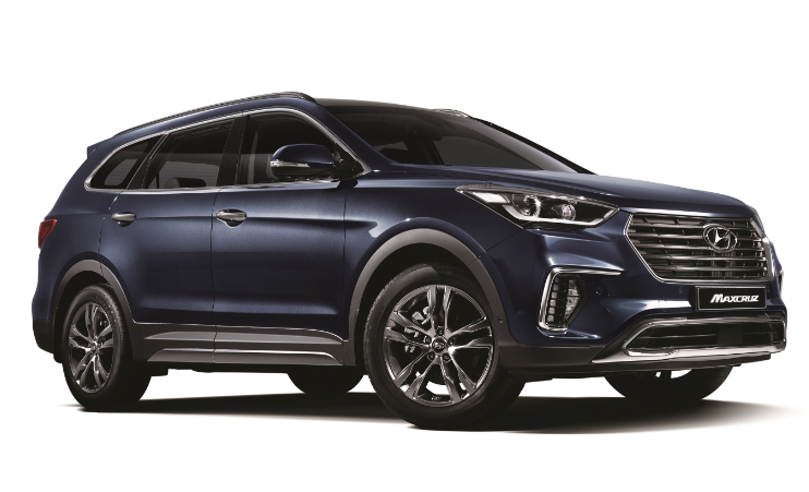 현대-맥스크루즈