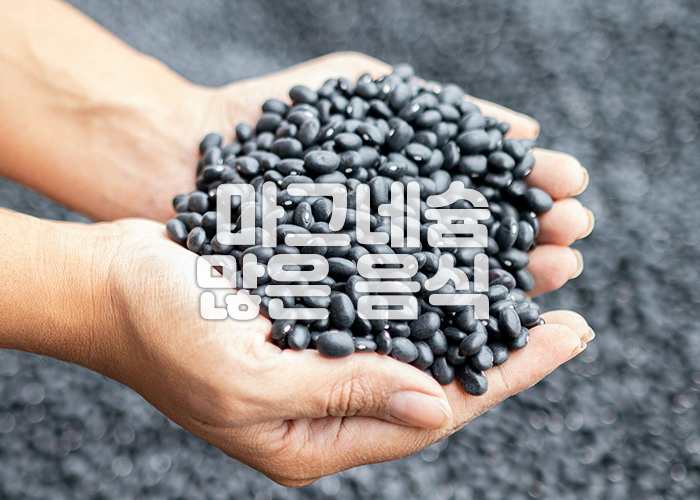 검은콩 이미지