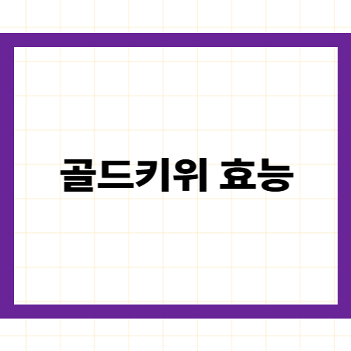 골드키위 효능과 부작용 —
비타민C 레몬의 3배,
과학적 근거와 주의사항 완벽 정리