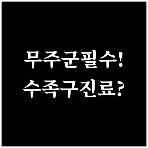 무주군 아이 수족구 자연 회복과 병원..