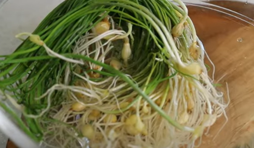 달래