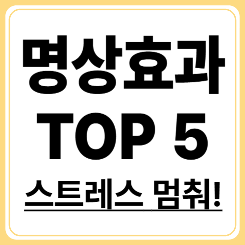 마음챙김 명상 효과 5가지! 과학이 증명한 스트레스 타파법