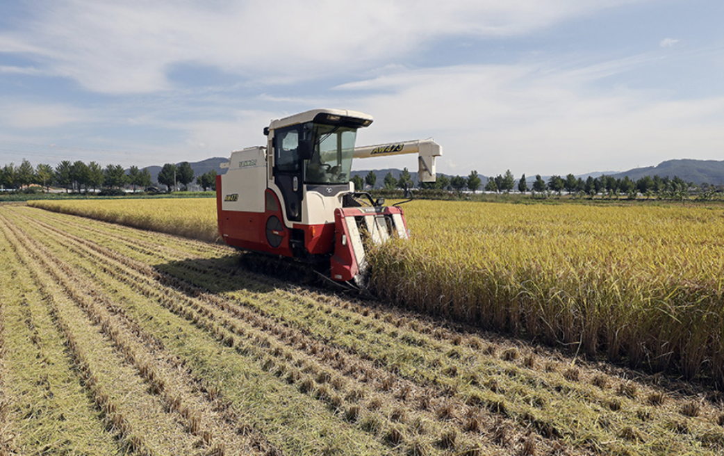한로(寒露)의 의미와 유래24절기