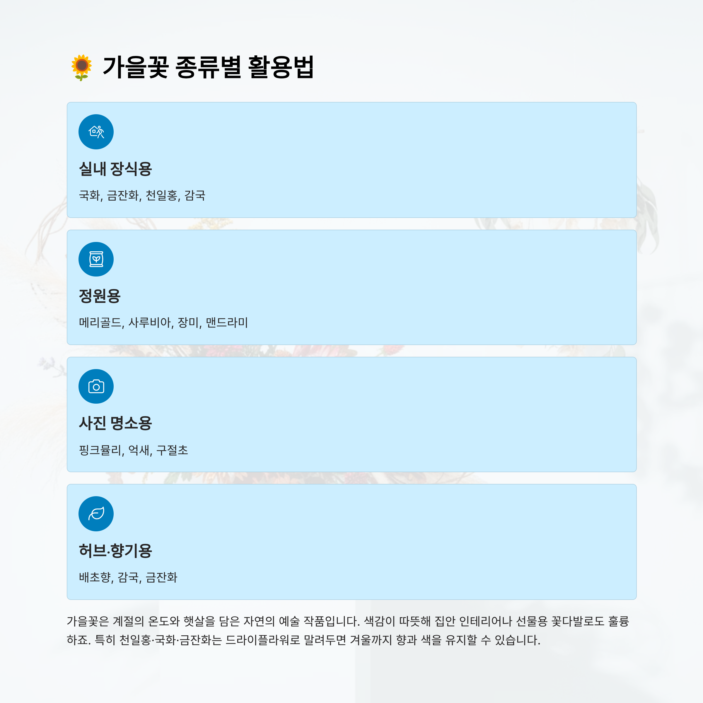 가을꽃 종류 알아보기