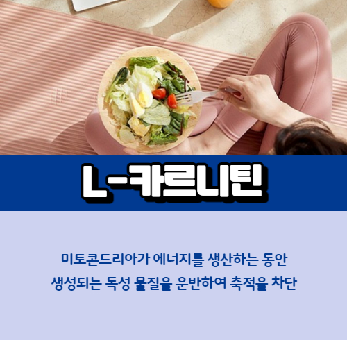 L-카르니틴