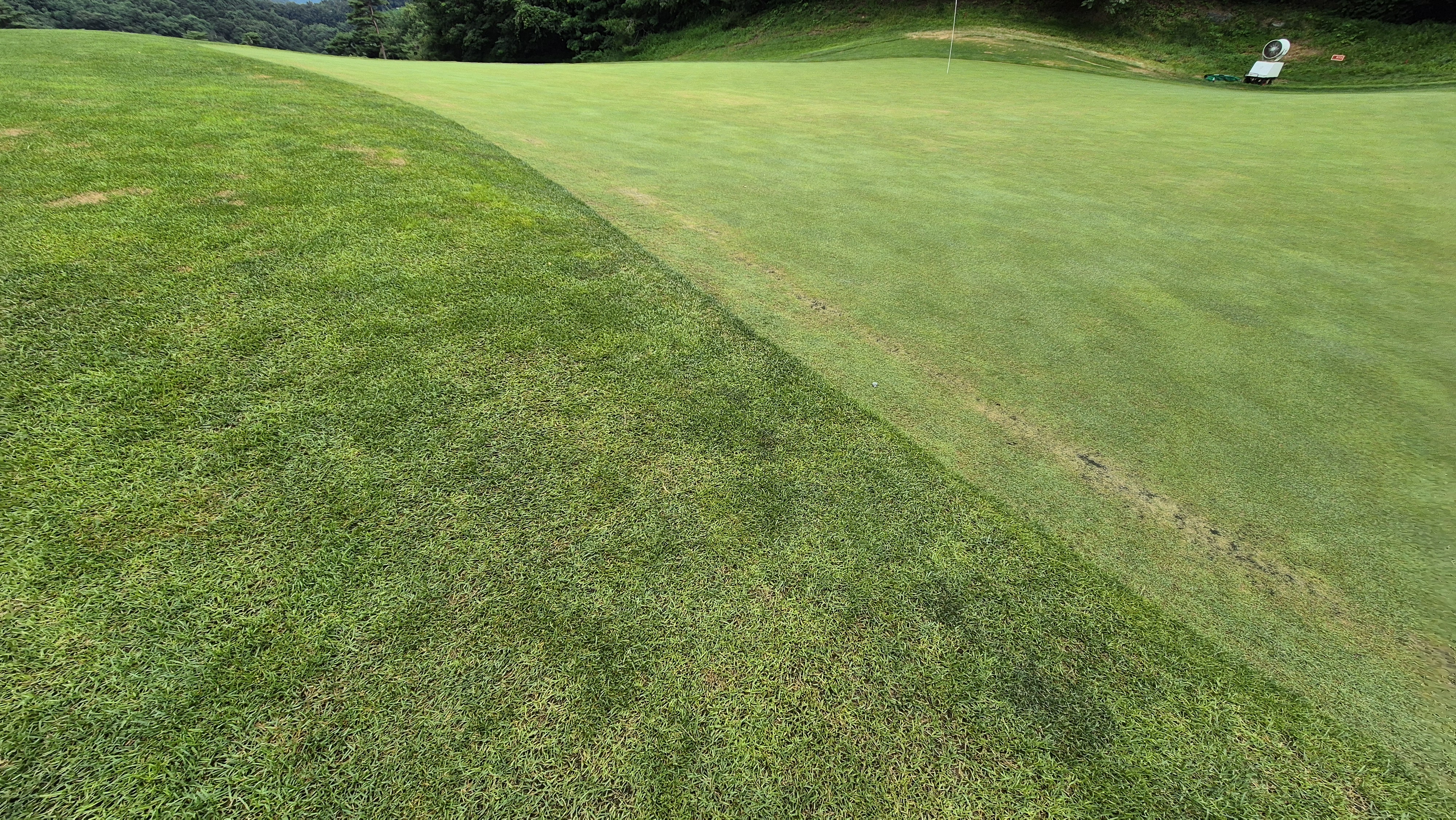 센테리움cc 스코틀랜드-웨일즈 코스 라운드 후기