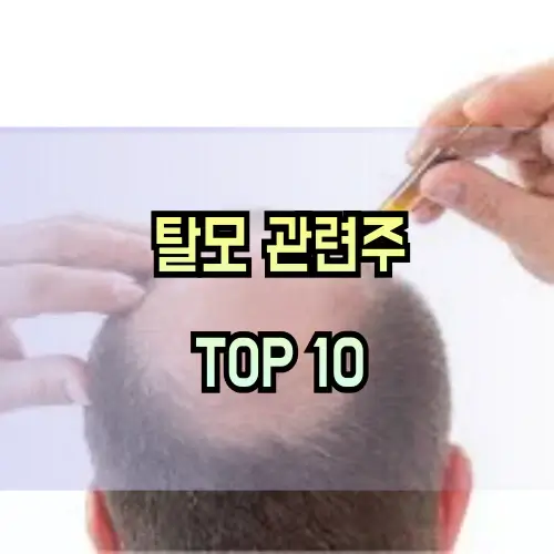 탈모-관련주