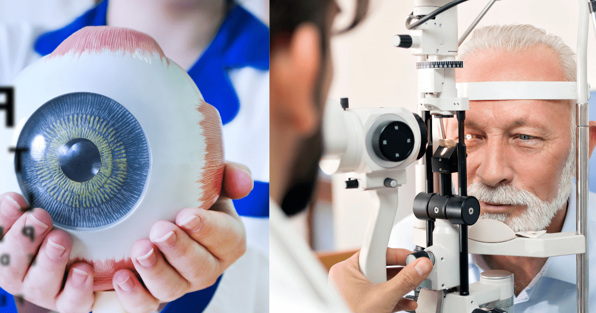 눈알을 들고있는 손과 눈검사를 받는 노인