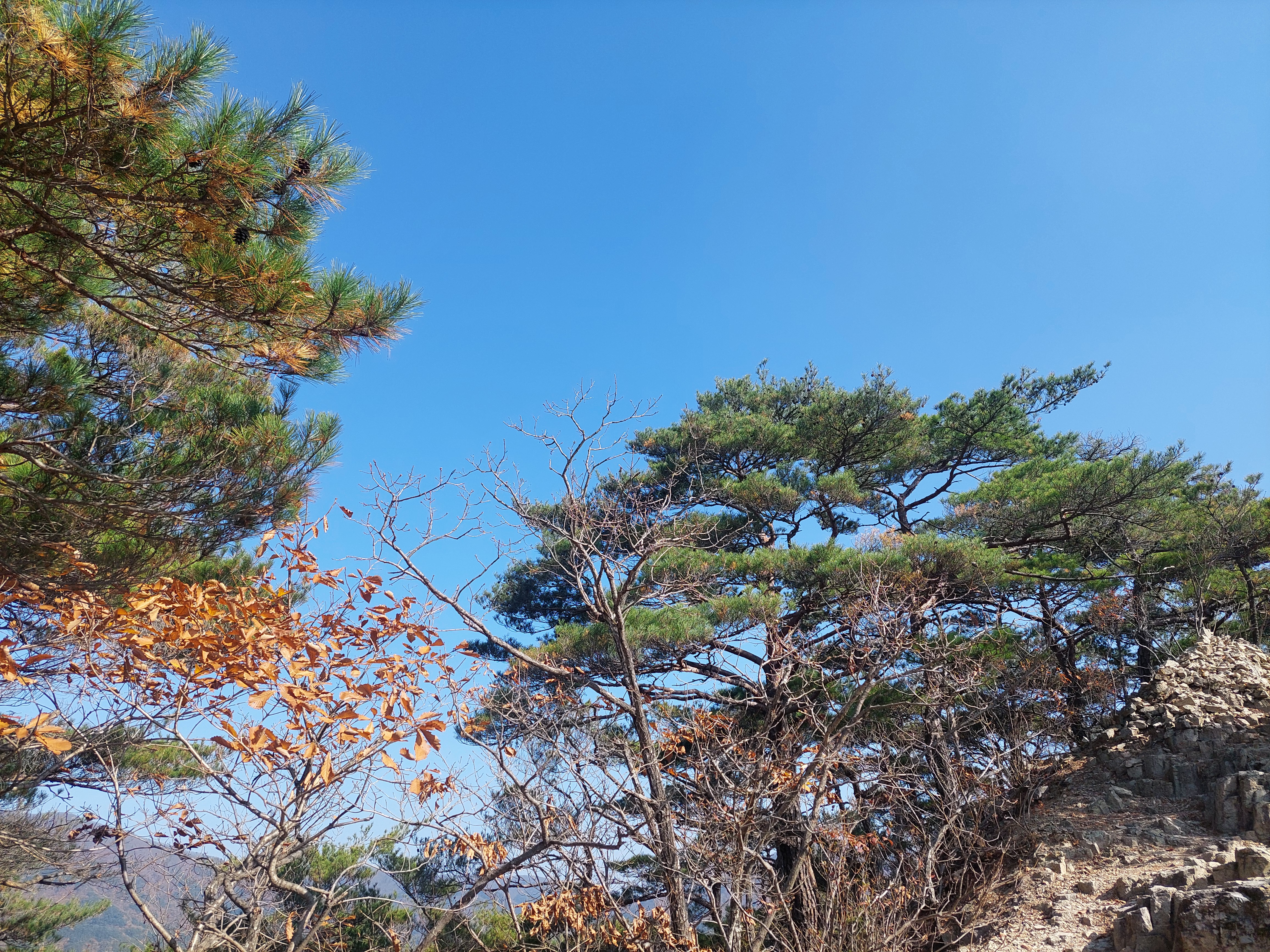 주왕산