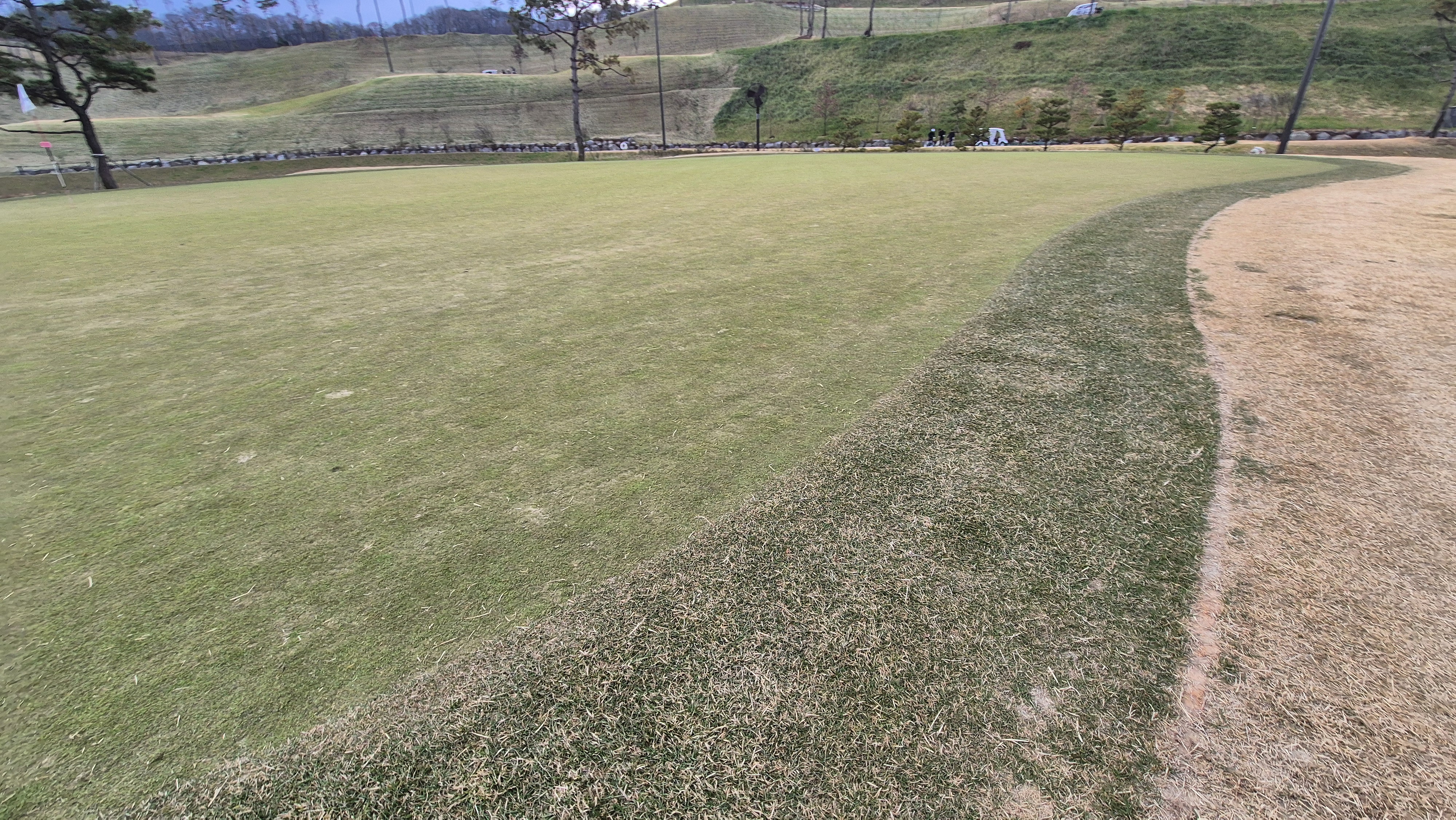 힐데스하임 레이크-힐 코스 그린관리 상태