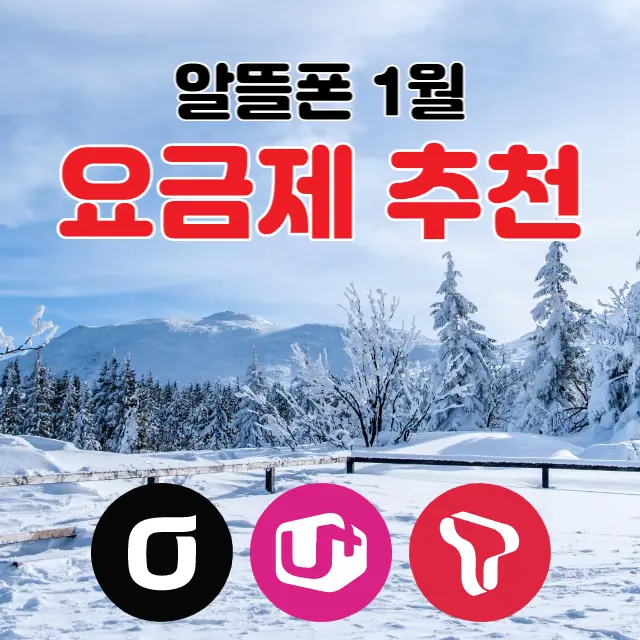 알뜰폰-1월-요금제추천
