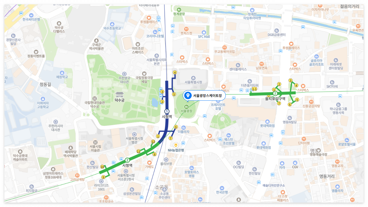 서울광장 스케이트장