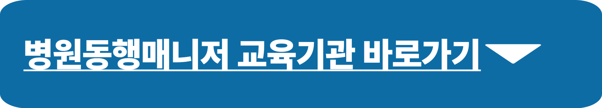 병원동행매니저