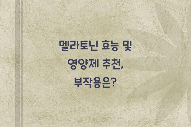 멜라토닌 효능 및 멜라토닌 영양제 추천