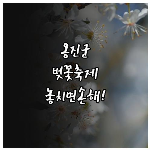 2026 옹진군 벚꽃 축제 일정 및 ..