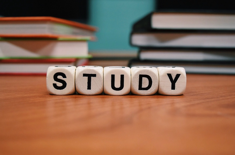 주요 어학 연수 프로그램