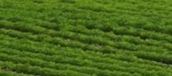 Tile 9