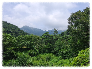 문경 문경읍의 월복사