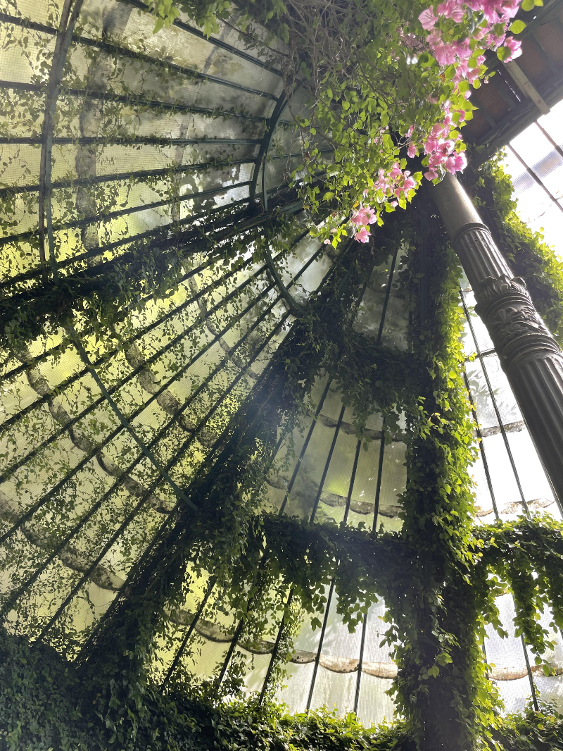 마드리드 왕립식물원 온실