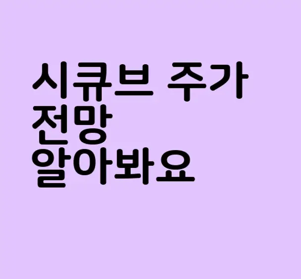 시큐브