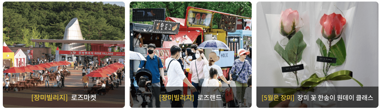 울산대공원 장미축제