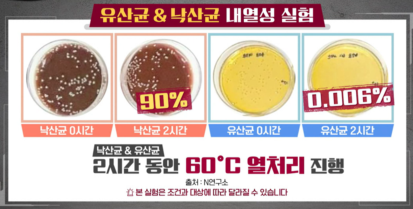 낙산균효능