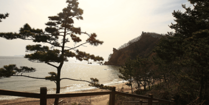 삽시도여행